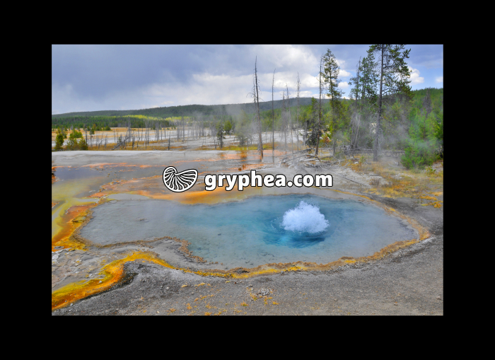 Firehole Spring (Yellowstone NP, USA) - gryphea.com
